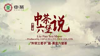 Liu Pao Tea Show Season 2--Famous Heihe Liu pao Tea /中茶六堡说第二季---黑盒六堡茶