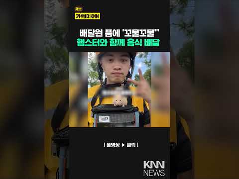 배달원 주머니 속에 &amp;#39;쏘옥&amp;#39; 햄스터 라이더 &amp;#39;<strong>갑론을박</strong>&amp;#39; #shorts