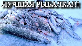 ТРОФЕЙ ЗА ТРОФЕЕМ!!! ЛУЧШАЯ РЫБАЛКА ПО ПЕРВОМУ ЛЬДУ!!!