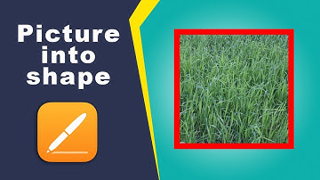 how to insert picture into shape in Apple Pages iCloud