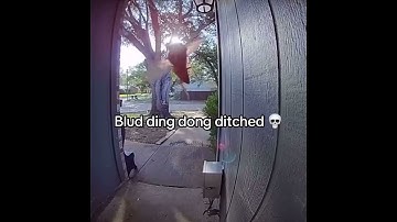 Blud ding dong ditched💀