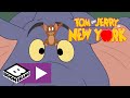 Tom és Jerry New Yorkban | Múzeumi békesség | Boomerang