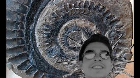 Geologic Time and Relative Age Dating - Earth Science