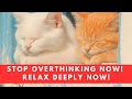 Calm Your Mind😍Deep Inner Peace & Anxiety Relief 428 Hertz frequency #cute innerpeace #calmmind