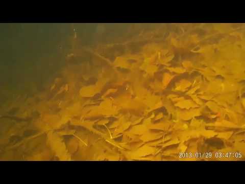 подводная охота на реках нижегородской области