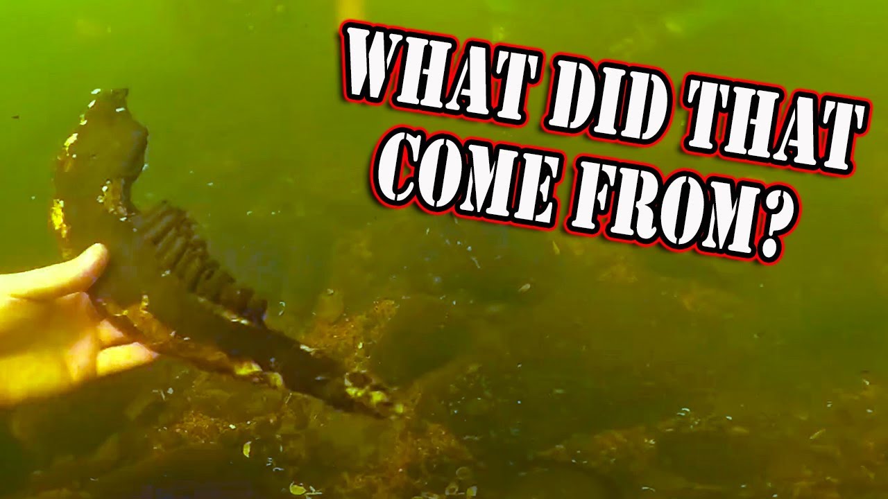 Found Shotgun In River While Scuba Diving   Featuring NuggetNoggin