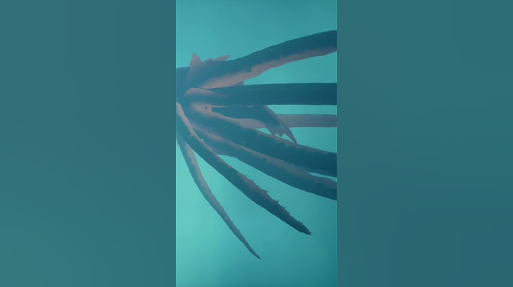 Kraken underwater - Sea of thieves
