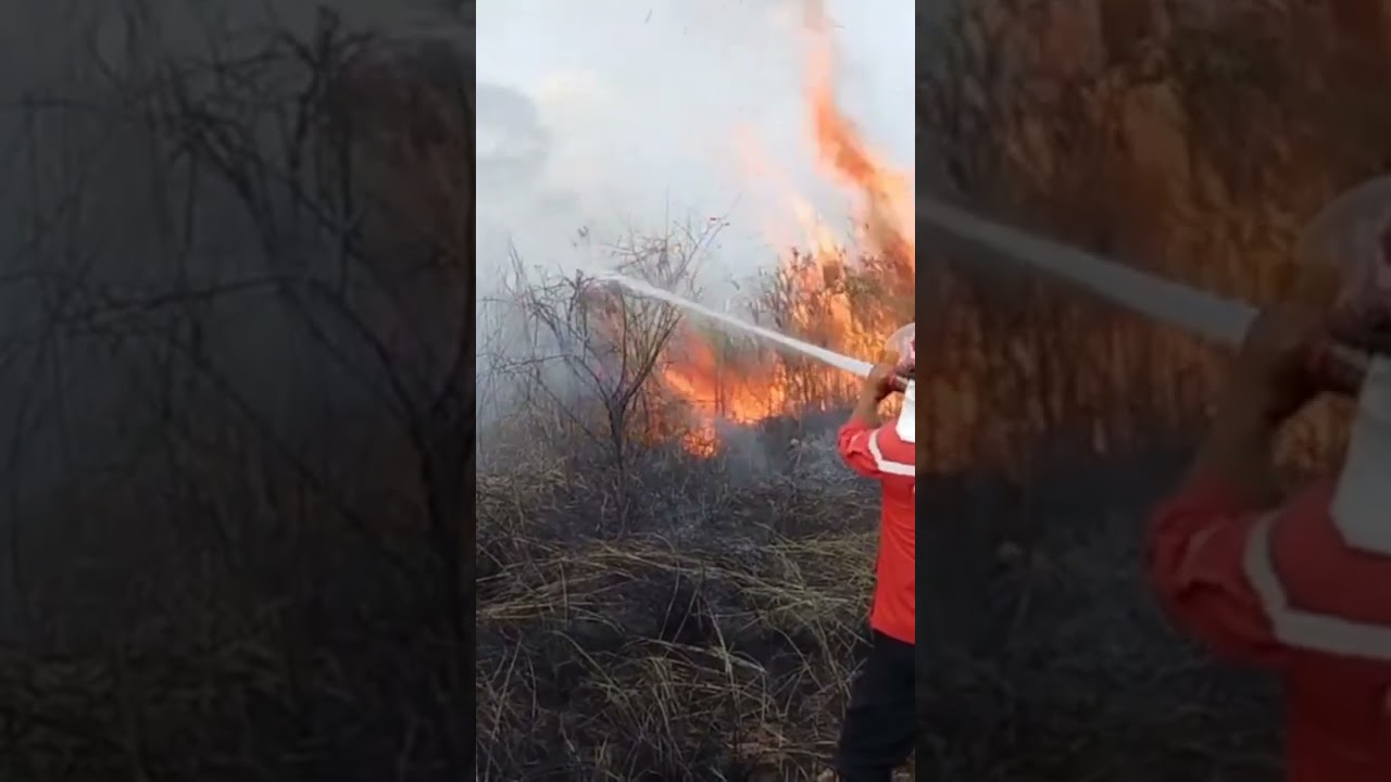 Pemadaman Karhutla #shorts #karhutla #klhk #manggalaagni #sipongi