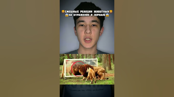 Лев посмотрел на своё отражение в зеркале!😱#shorts