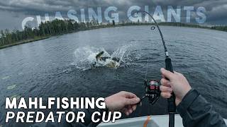 Fishing My First Ever Tournament - MahlFishing Predator Cup(Will We Win?) screenshot 5