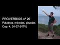 Proverbios 4, 24-27 - Cómo cuidar las palabras y miradas