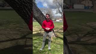 Happy Earth Day from Mayor Deasy