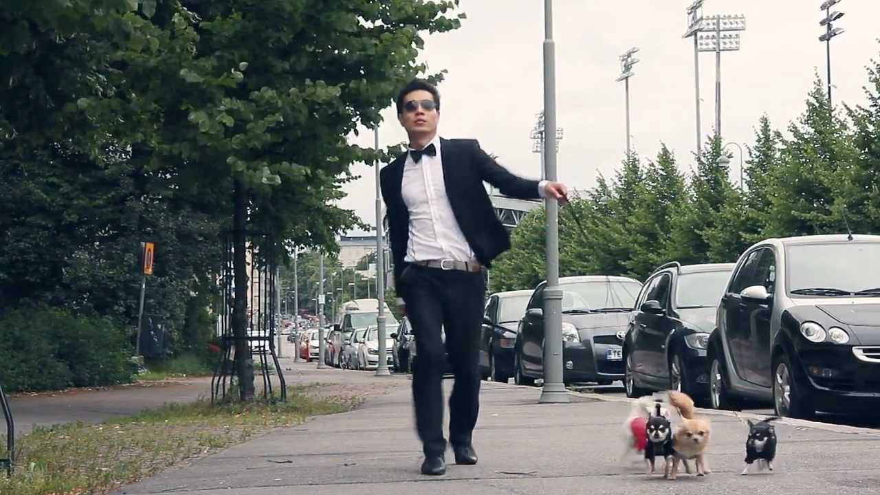 PENGMAN STYLE (Finnish Gangnam Style Parody)