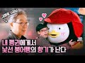 Rude, Genderless Giant Penguin With Millions of Fans is Now Korea’s Biggest Star