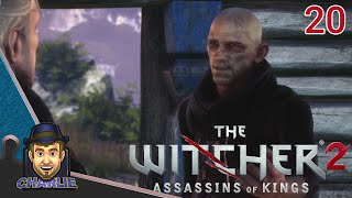 THE VISIONARY'S POTION! - The Witcher 2 - 20 - NO ADS Playthrough