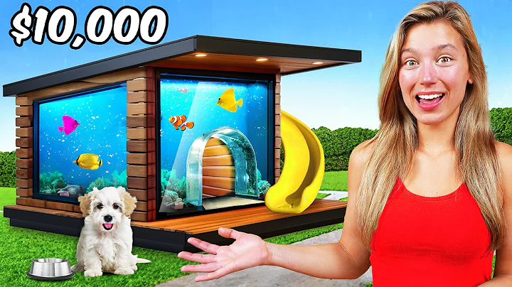 I BUILT A $10,000 DREAM DOG HOUSE!! - DayDayNews