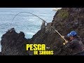 Pesca de Sargos José Silva Sargo 1.9KG com a Rabeca 2018