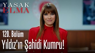 Yıldız'ın şahidi Kumru! - Yasak Elma 120.  Resimi