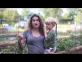 Using Cattle Panels for Vertical Gardening in Raised Beds Using Cattle Panels for Vertical Gardening in Raised Beds