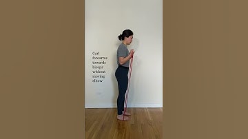 How To Do: Resistance Band Bicep Curls | Bicep Exercise (Step-By-Step Instructions) #Shorts