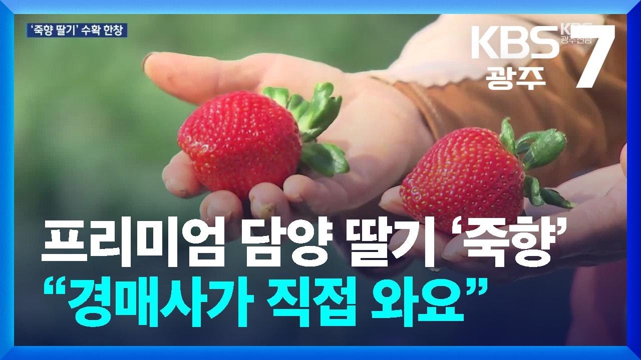 프리미엄 담양 딸기 ‘죽향’…“경매사가 직접 와요” / KBS  2026.03.05.