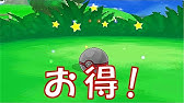 ポケットモンスターxy フレンドサファリで色違いget Part10 Youtube ポケットモンスターxy フレンドサファリで色違いget Part10 Youtube