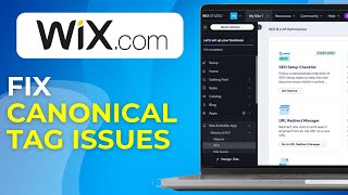 How to Fix Canonical Tag Issues in Wix Second Case