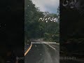 آهنگ گل بردن دای گل بردن آهنگ نصرالله دهدشتی