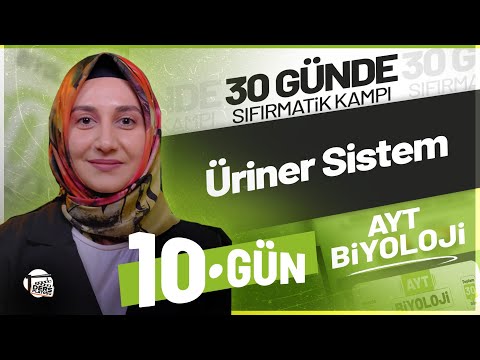 BOŞALTIM SİSTEMİ I YKS 2027 Sıfırmatik AYT Biyoloji Kampı 10. Gün