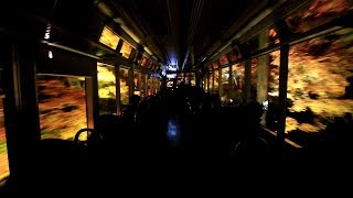 叡山電鉄 市原～二ノ瀬間「もみじのトンネル」きらら車内より 　Tunnel of the maple, Eizan Railway, Kyoto　(2019.11)