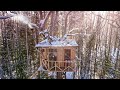 My TREE HOUSE LIFE - Building and hiding in the WOODS / Secrets of Living in the WOODS