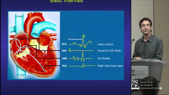 Basics of EP Testing and Ablation by Adam Zivin, M...