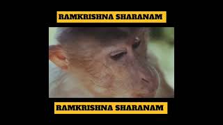 ramkrishna paramhans