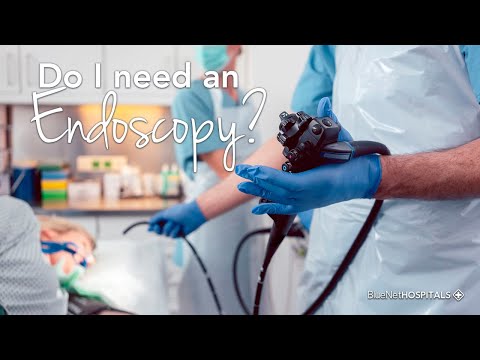 Video: Endoskopi: Hvad er det, hvorfor nogle dyr har brug for det