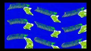 Klasky Csupo In Autovocoding Is Diet