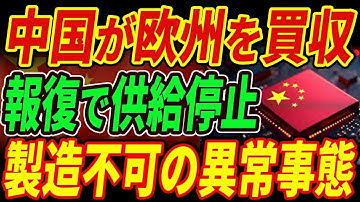 【海外の反応】中国が報復措置を発動！欧州供給停止で世界の工場が停止、米国も緊急介入！#ネクスペリア #ウイングテック #欧州 #米国 #サプライチェーン #ウエハー