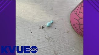 Hays CISD leaders hope viewing overdose footage can help students understand dangers | KVUE