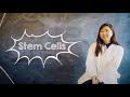 Stem Cells: Understanding and Applications