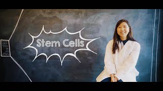 What Are Stem Cells?