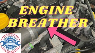 Renault Captur 2022 Petrol Engine Breather Hose Location