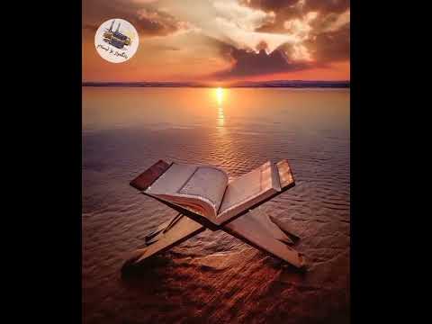 وإن عليكم لحافظين كراما كاتبين يعلمون ما تفعلون عامر الكاظمي