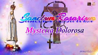Sanctum Rosarium | The Holy Rosary of the Blessed Virgin Mary | May 22, 2026