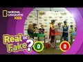Identifying Real and Fake Statements