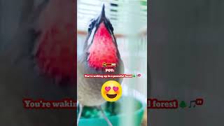 Download Lagu \ MP3 Download Lagu \ MP3