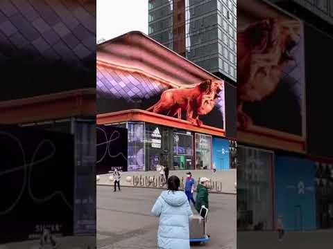 big lion attacking