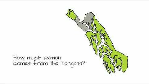 Why the Tongass National Forest is also America