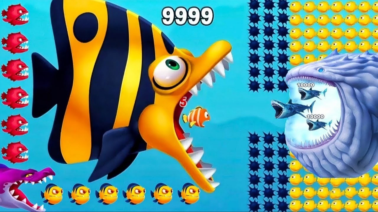 Fishdom 🐠 ads Mini Games 64.8 New update. Hungry fish video gameplay Hadi gaming yt