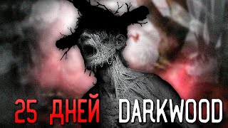 видео: 25 Дней Кошмаров в Darkwood картинка: 25 Дней Кошмаров в Darkwood