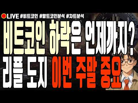 [실시간] 비트코인 하락은 언제까지? 리플 도지코인 이번 주말 중요! 8월 14일 오전 비트코인 라이브 이더리움 솔라나 아반티스 이버파이