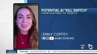Kill switch for AI Here's what local experts say.